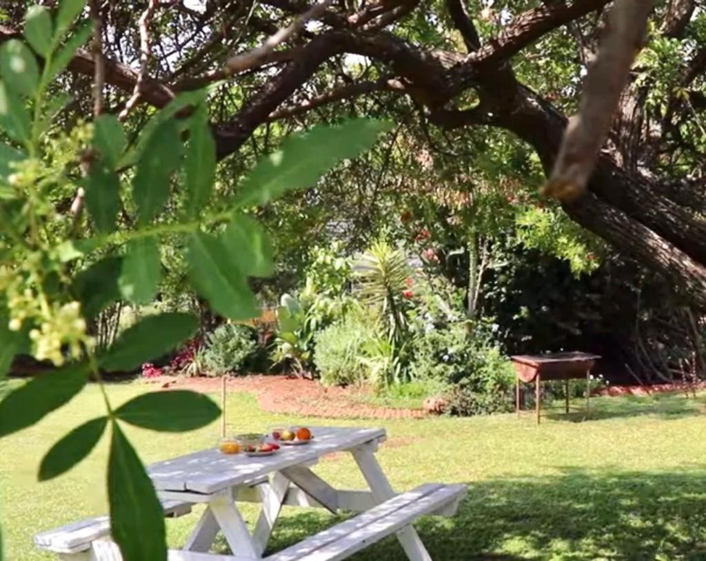 Choice Backpackers Lodge Bulawayo Buitenkant foto
